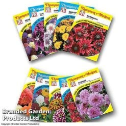 Summer Collection - Bulbs, Seeds & Compost -Vedicayur Store FLOW T45153P1