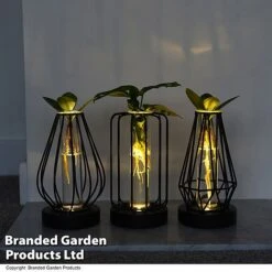 Hydroponic Collection In Turin Glass -Vedicayur Store HYDR LEDTURING T49876