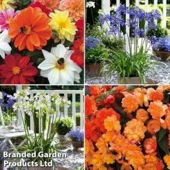 Summer Plant & Seed Collection -Vedicayur Store MSE feb31