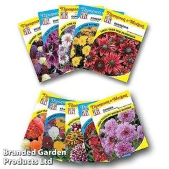 Nurserymans Choice Bedding Mix + 100g Incredibloom® + Nurserymans Choice Flower Seeds -Vedicayur Store NURS BED COLL3