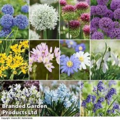 Spring Bulb Variety Bundle