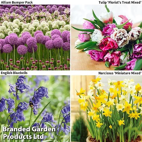 Spring Bulb Bumper Pack 1 Spring Bulb Bumper Pack