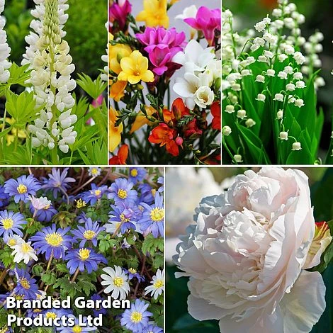 Summer Colour Bundle 1 Summer Colour Bundle