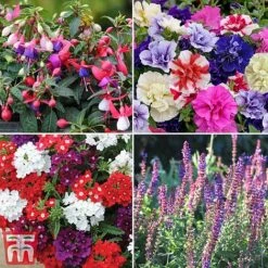 Nurseryman's Choice Container Mix -Vedicayur Store sumbed2