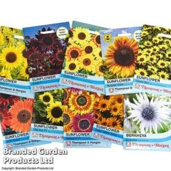 Summer Collection - Bulbs, Seeds & Compost -Vedicayur Store suumer coll seed1