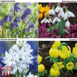 Woodland Garden Saver Collection