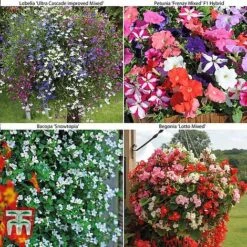 Bumper Garden Collection -Vedicayur Store z BUMP KB3121 B