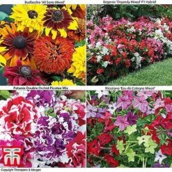 Bumper Garden Collection -Vedicayur Store z BUMP KB3121 O1